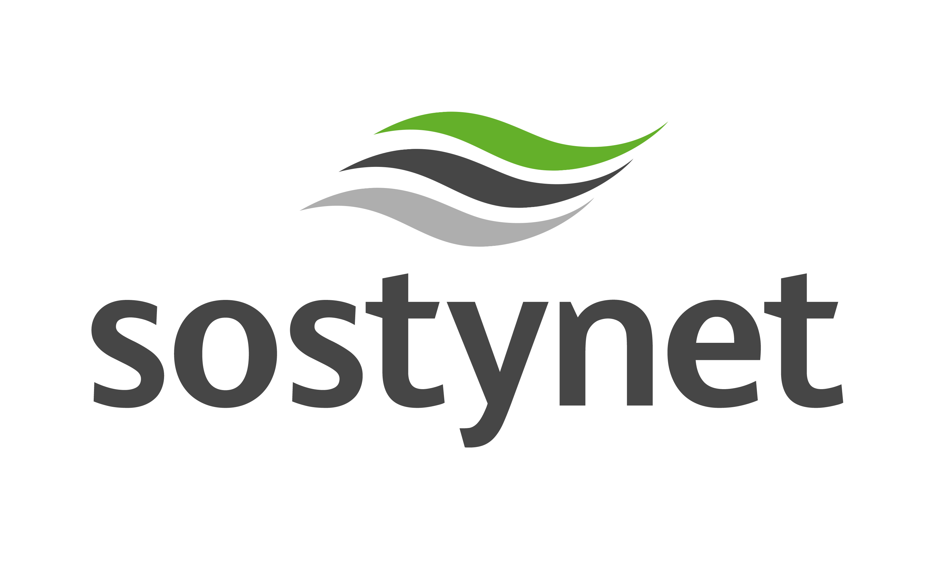 Logo SOSTYNET png